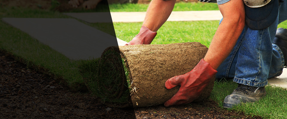 Yarmouth Port Landscapers